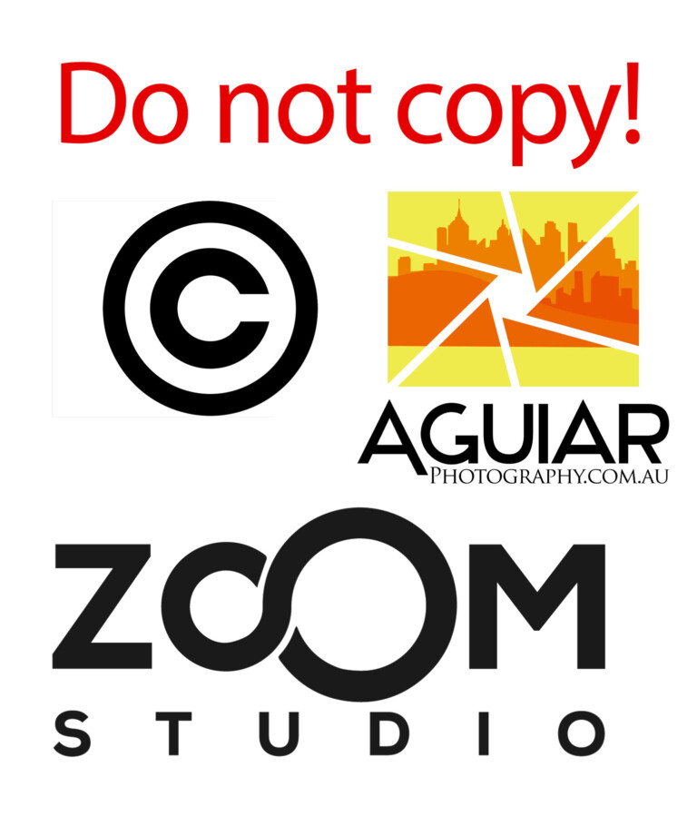 Do not copy aguiar photography and zoom studio