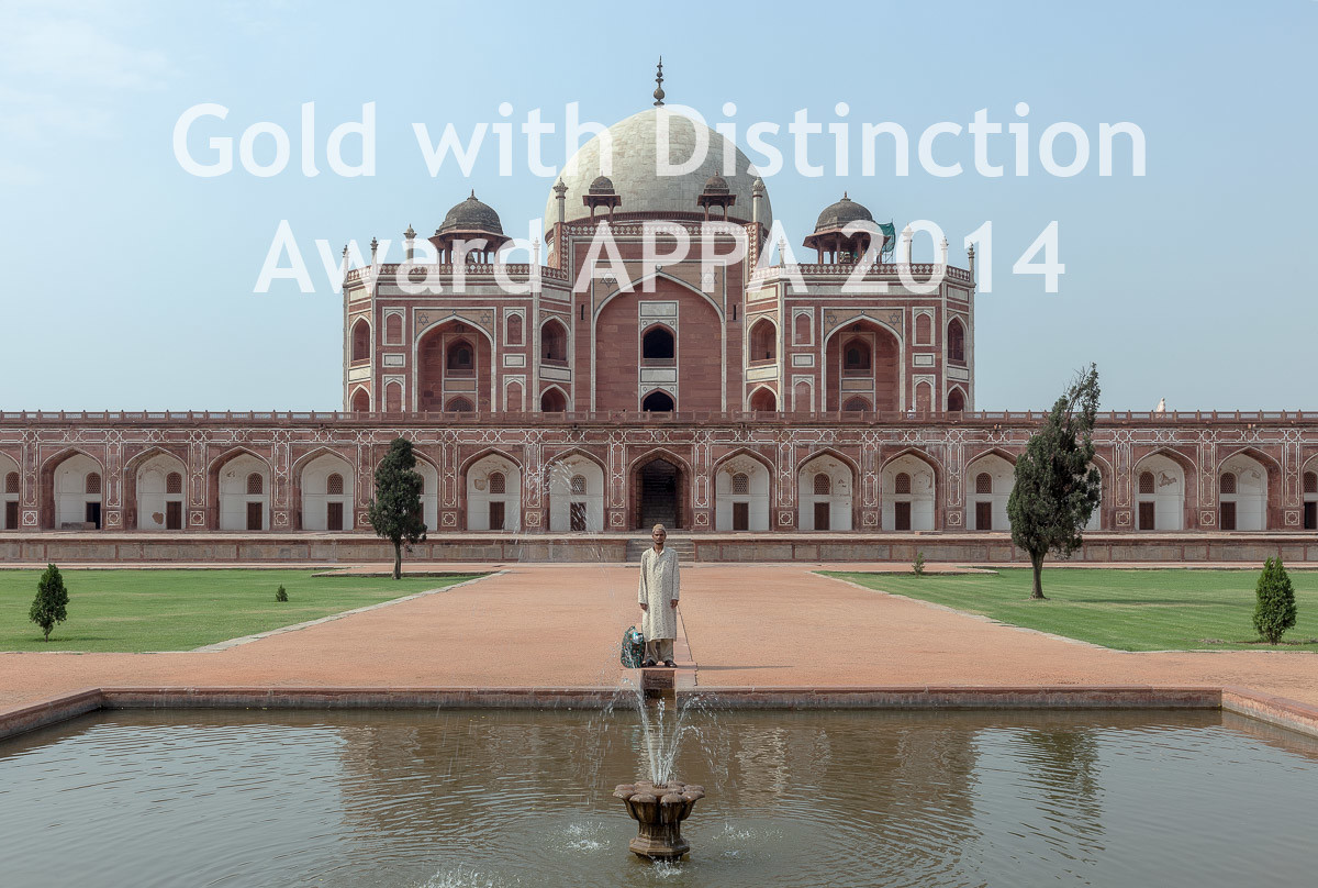 Man standing for Appa 2014 - Gold with Distinction